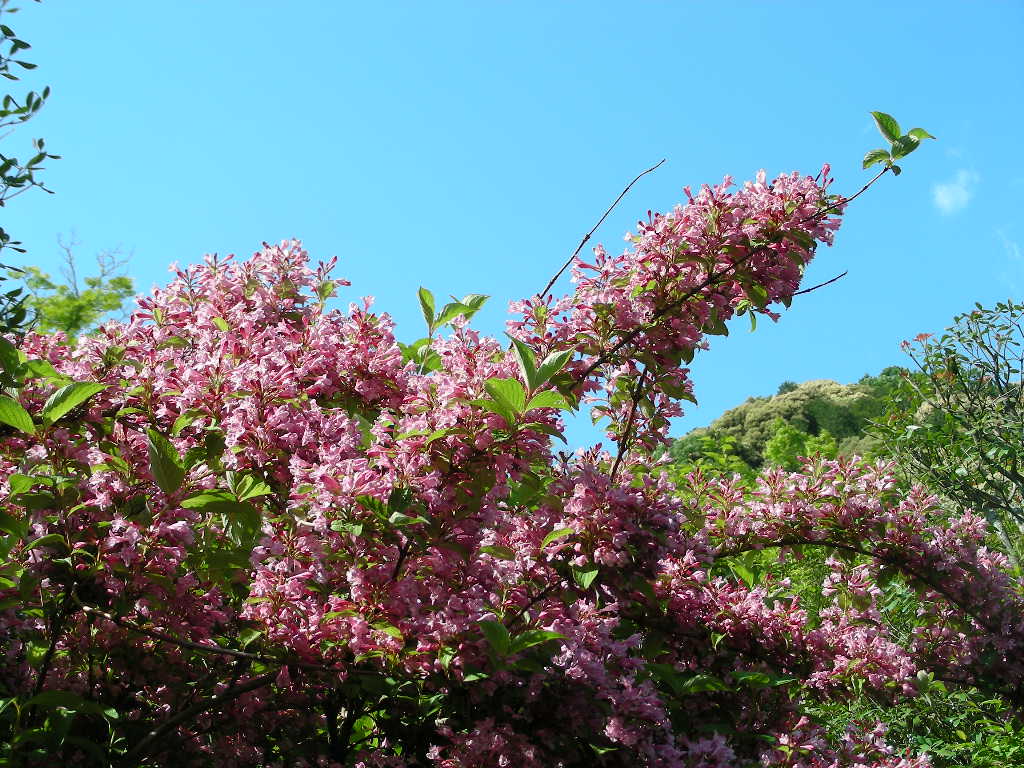 c0145299_2220483.jpg