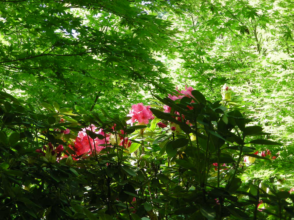 c0145299_2224457.jpg