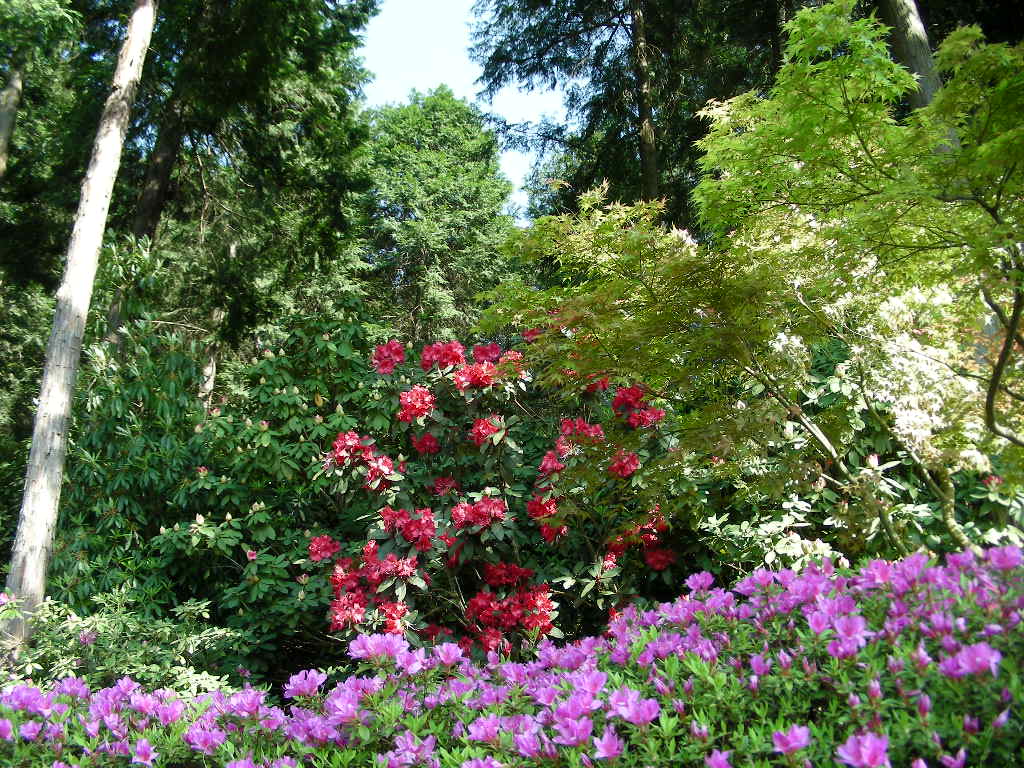 c0145299_22293979.jpg