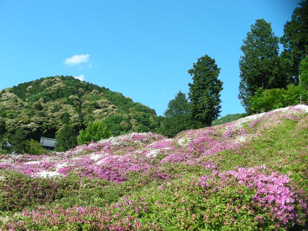 c0145299_22321968.jpg