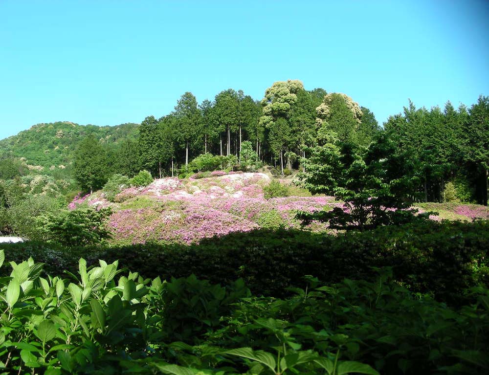 c0145299_22394282.jpg