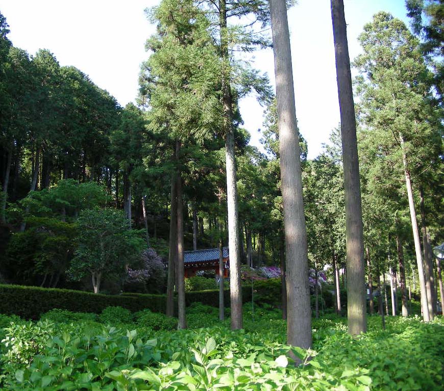 c0145299_22414095.jpg