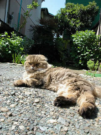 f0239100_22483744.jpg