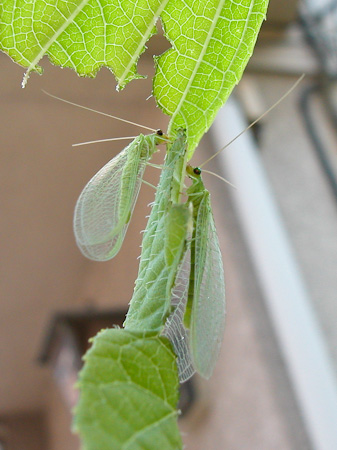 f0239100_2250129.jpg
