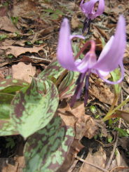 e0033301_2239287.jpg