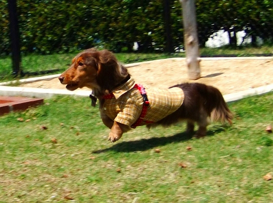 c0228404_3443116.jpg