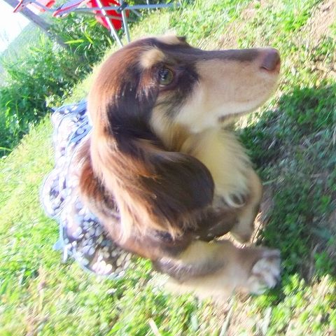 c0228404_393693.jpg