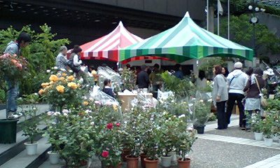 d0054704_1363621.jpg