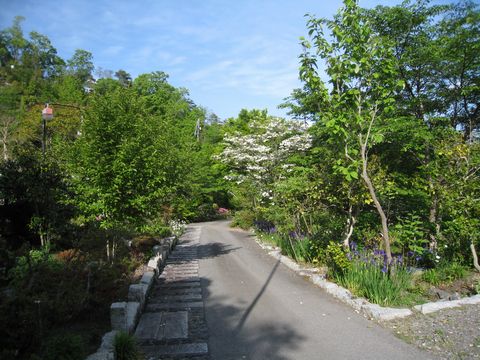 d0116205_23161181.jpg