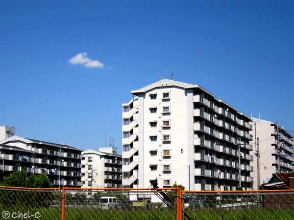 a0154706_18443280.jpg