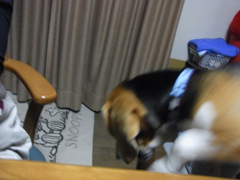 c0205806_19182782.jpg