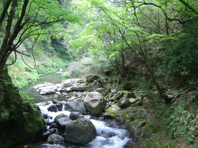 a0088007_31892.jpg