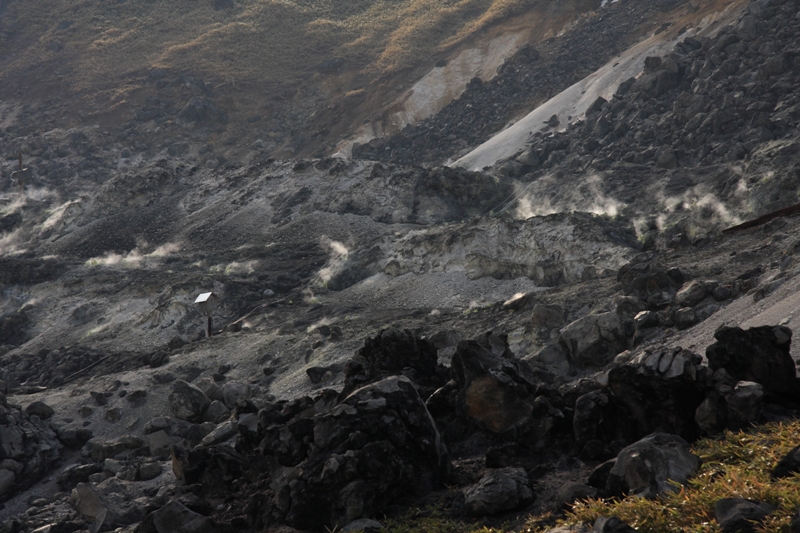 b0180907_2220766.jpg