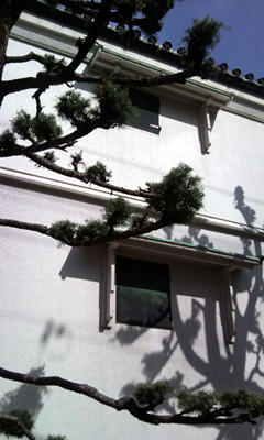 c0008209_15591594.jpg