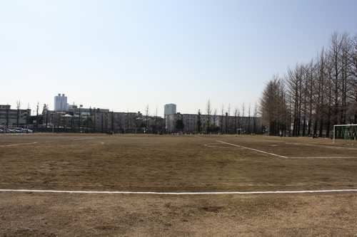 a0103110_048253.jpg