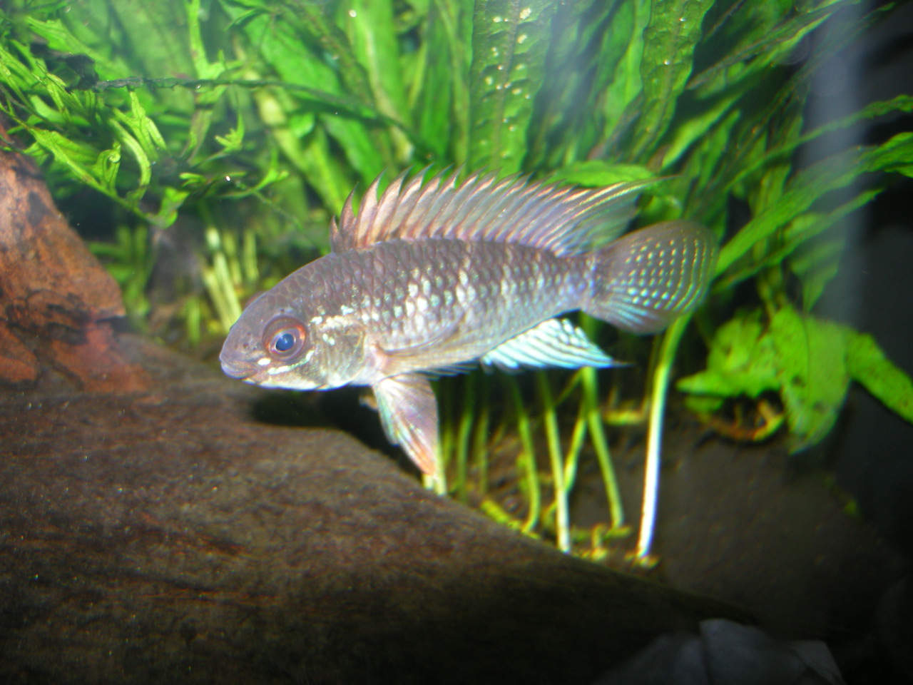 c0224611_11235456.jpg