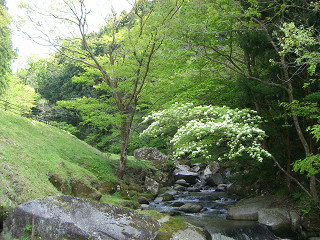 b0168412_2349539.jpg