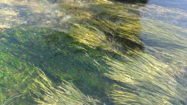f0233414_2327382.jpg