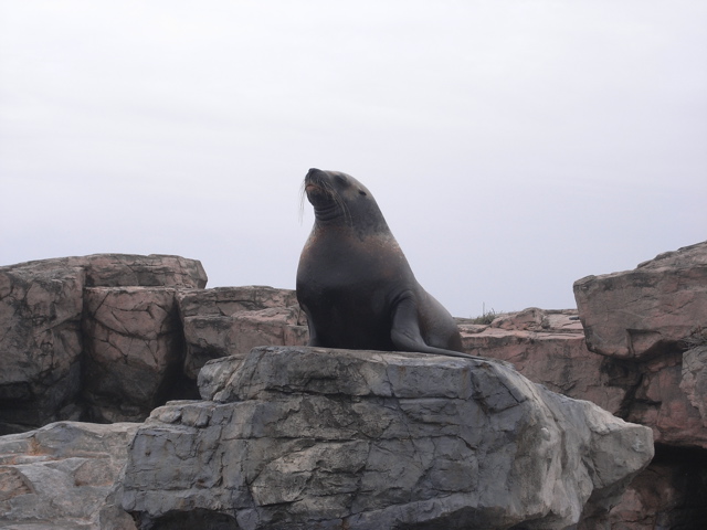 a0117915_21453050.jpg