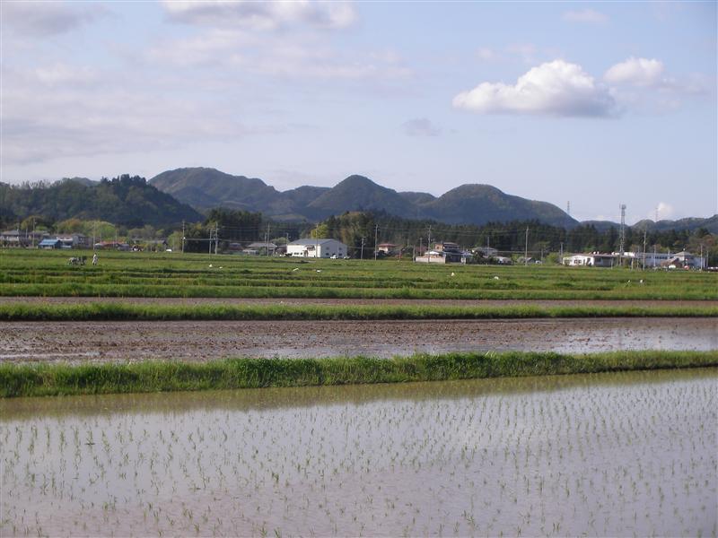 a0127015_652537.jpg