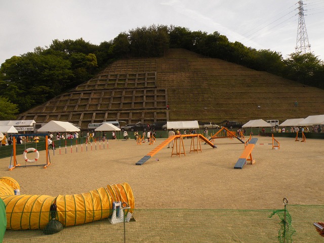 c0127617_18482619.jpg
