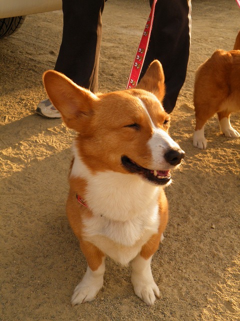 c0127617_19104349.jpg