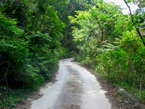 b0186119_18433440.jpg