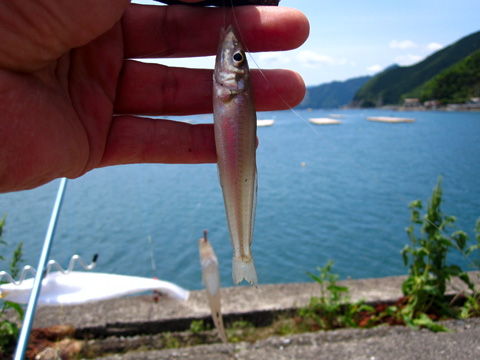 b0186119_18445990.jpg