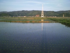 a0118120_19343628.jpg