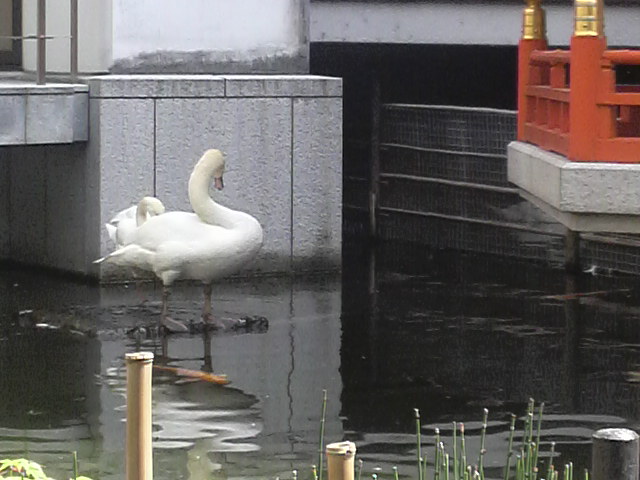c0225420_08758.jpg