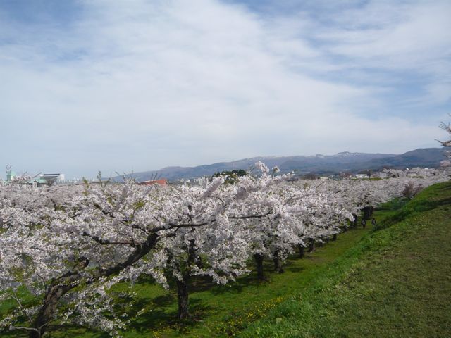 e0111220_21404942.jpg