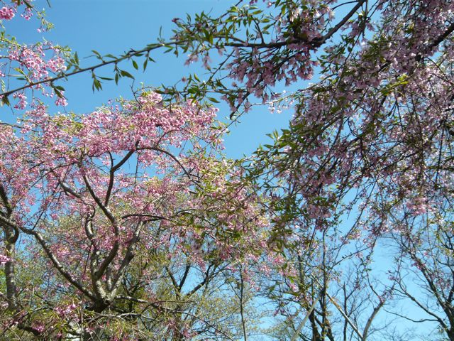 e0111220_22202511.jpg