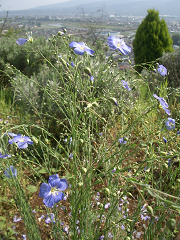 c0086221_2042120.jpg