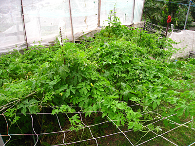 f0041021_10572930.jpg