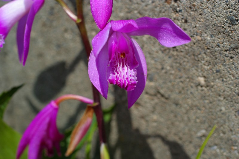 a0004023_9304539.jpg