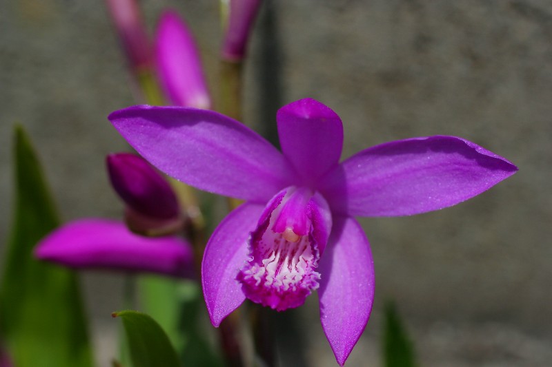 a0004023_932761.jpg