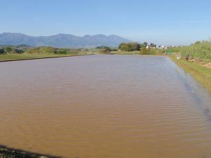 f0022024_2218514.jpg