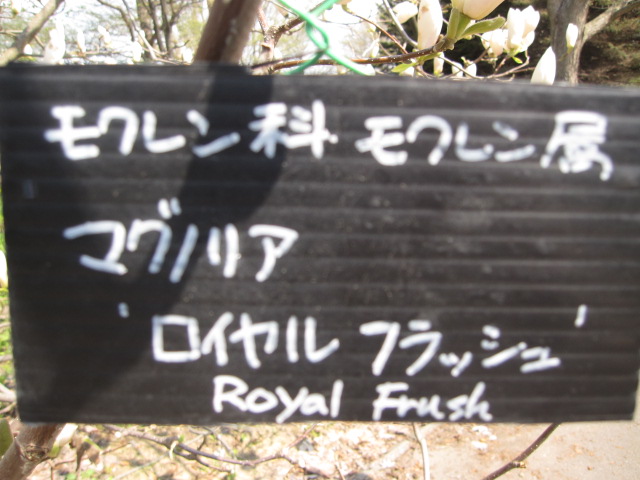 e0191826_2250285.jpg