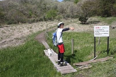 e0181928_20151955.jpg