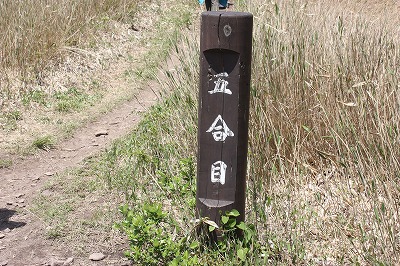 e0181928_20391585.jpg