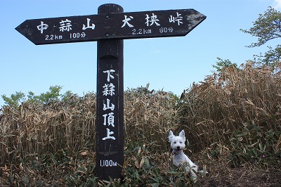 e0181928_20412134.jpg