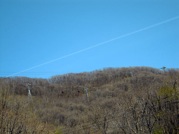 e0037129_2059337.jpg