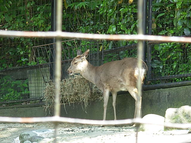 b0185330_033526.jpg