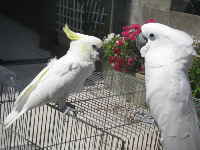 e0107730_21302034.jpg