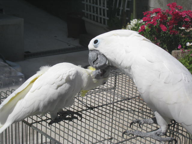 e0107730_21332530.jpg