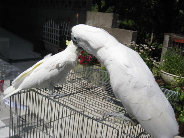 e0107730_21494174.jpg