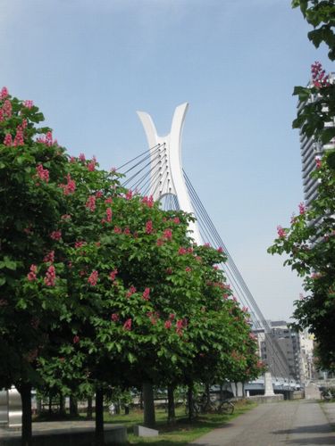 c0177332_19591090.jpg