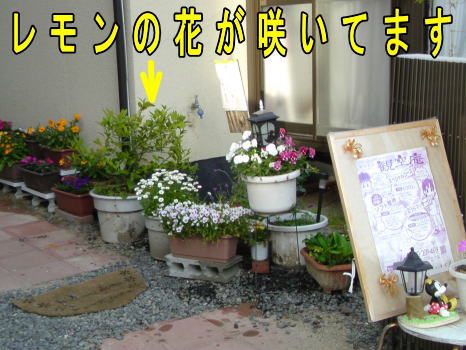 b0165233_10414941.jpg
