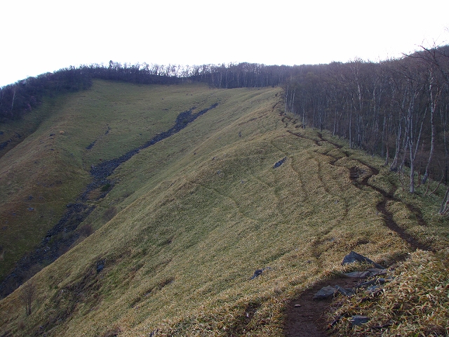 b0097836_14202737.jpg