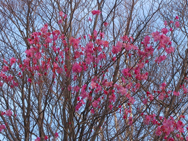 b0097836_1423019.jpg